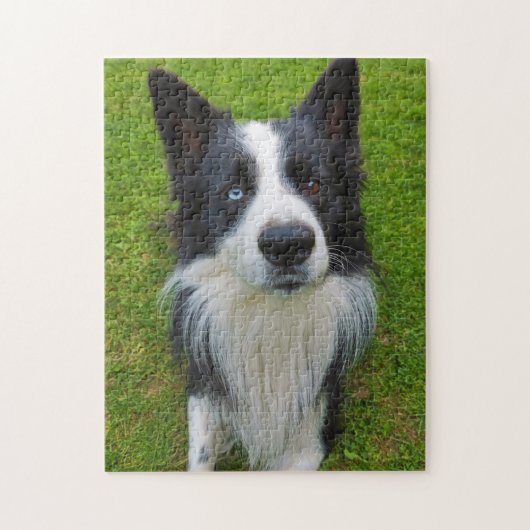 Border Collie Legpuzzel (Verticaal)