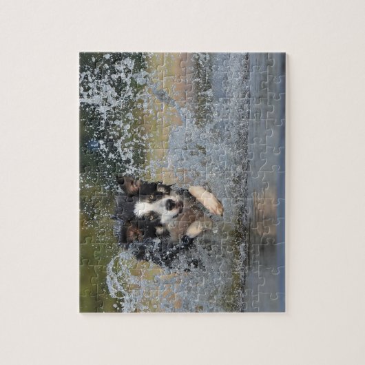 Border Collie Legpuzzel (Verticaal)
