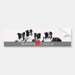 Border Collie Love Bumpersticker