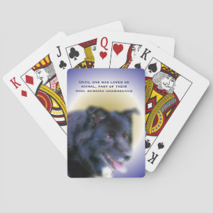 Border Collie Love for Animals Inspirerend   Pokerkaarten