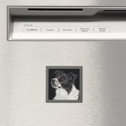 Border Collie Magnet - "Ben" Magneet (Insitu (Vaatwasser))