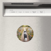 Border Collie Magnet Magneet (Insitu (Vaatwasser))