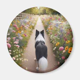Border Collie Magnet Magneet