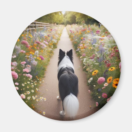 Border Collie Magnet Magneet (Voorkant)