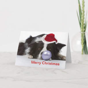 Border Collie met kerst pet Feestdagen Kaart