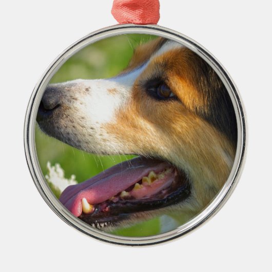 Border Collie Metalen Ornament (Voorkant)