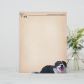 Border Collie Mix (Staand voorkant)