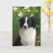 Border Collie Moederdag Kaart (Gele Bloem)