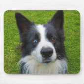 Border Collie Muismat (Voorkant)