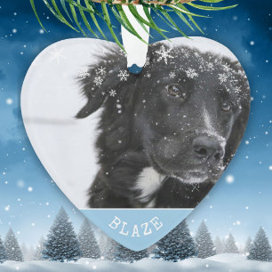 Border Collie Noël Photo de Compagnon Personnalisé