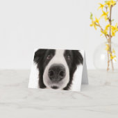 Border collie Notecard Kaart (Gele Bloem)