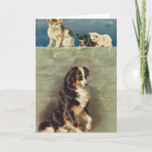 Border Collie Notecard Kaart