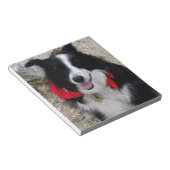 Border Collie Notitieblok (Schuin)