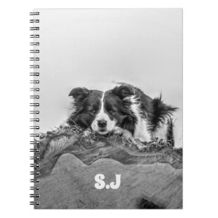 Border Collie Notitieboek