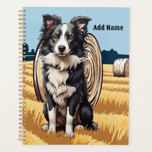 Border Collie on Farm (Devant)