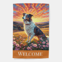 Border Collie op boerderij