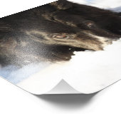 Border Collie Photo Foto Afdruk (Hoek)