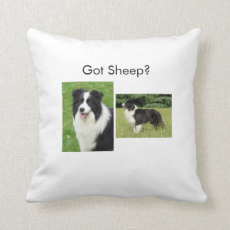 Border Collie Pillow Kussen