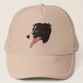 Border Collie Portrait Pet