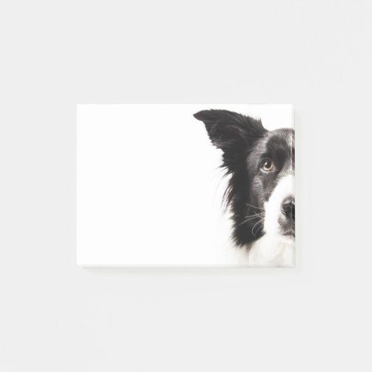 Border Collie Portrait Post-it® Notes (Voorkant)