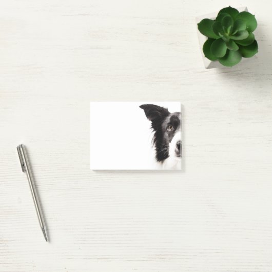 Border Collie Portrait Post-it® Notes (Kantoor)