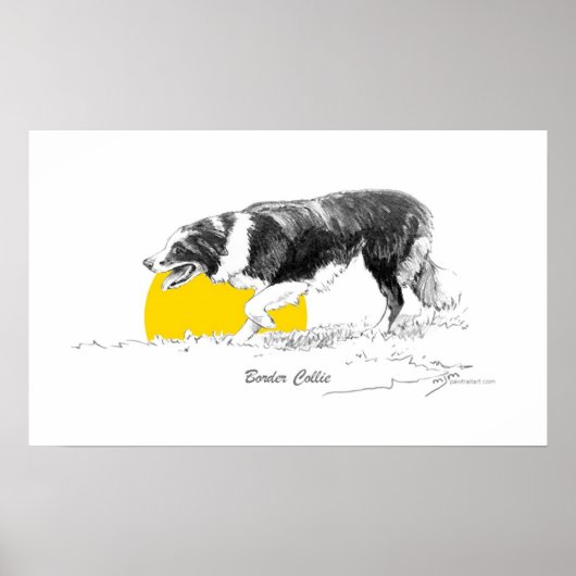 Border Collie Poster (Voorkant)