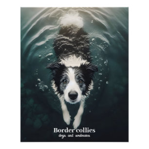 Border collie - poster perfect poster