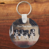 Border Collie Puppies Dog Sleutelhanger (Voorkant)