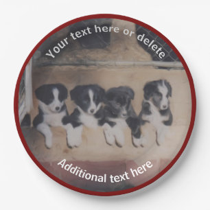 Border Collie Puppies Kunst Gepersonaliseerde Part Papieren Bordje