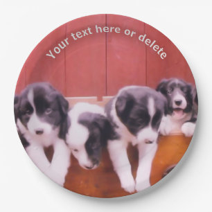 Border Collie Puppies Kunst Gepersonaliseerde Part Papieren Bordje