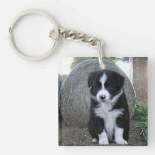 Border Collie Puppy Boerderij Leven, Sleutelhanger