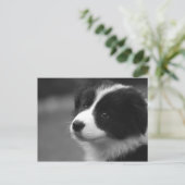 Border Collie Puppy Briefkaart (Staand voorkant)