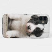 Border Collie Puppy Case-Mate iPhone Case (Achterkant (horizontaal))