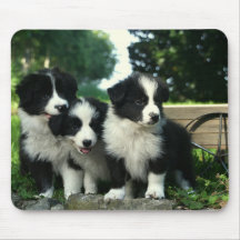 Border Collie Puppy Dog Mousepad