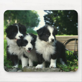 Border Collie Puppy Dog Mousepad Muismat