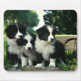 Border Collie Puppy Dog Mousepad Muismat