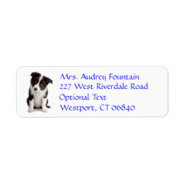 Border Collie Puppy Dog Retouradres Naam Label