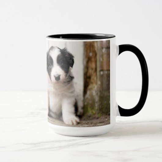 Border Collie Puppy Mok (Rechts)