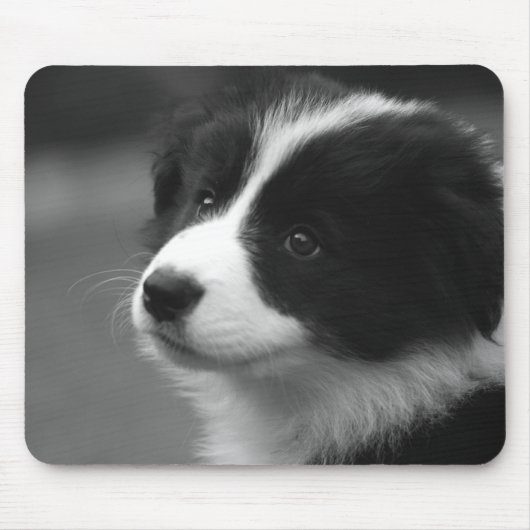 Border Collie Puppy Muismat (Voorkant)