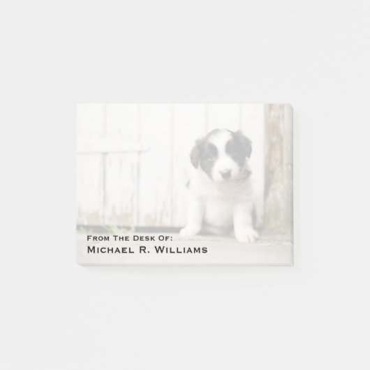Border Collie Puppy Post-it® Notes (Voorkant)
