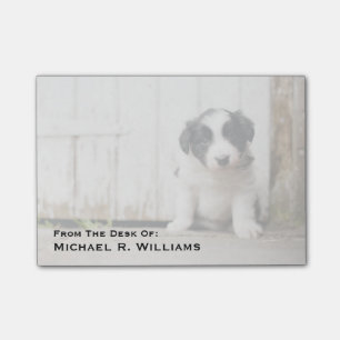 Border Collie Puppy Post-it® Notes