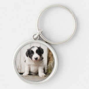 Border Collie Puppy Sleutelhanger