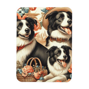 Border Collie schilderij Magneet