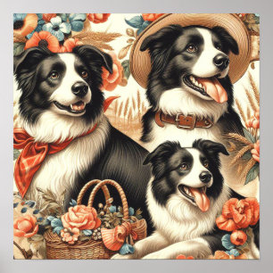  Border Collie schilderij Poster