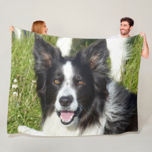 BORDER COLLIE, SCHOONHEID EN HERSENEN FLEECE DEKEN