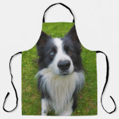 Border Collie Schort (Voorkant)