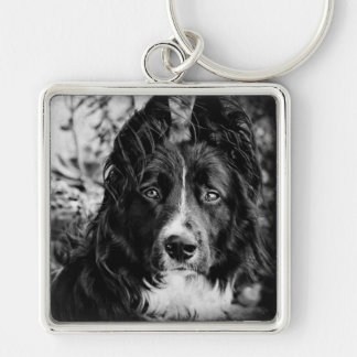 Border Collie Sleutelhanger