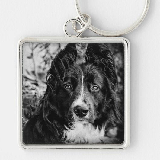 Border Collie Sleutelhanger (Voorkant)