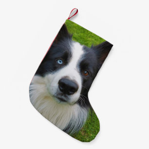 Border Collie Small Kerststop Kleine Kerstsok