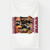 Border Collie   Spandoek (Verticaal)